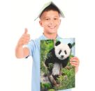 A3 Sammelmappe Panda