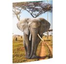 A3 Sammelmappe Elefant