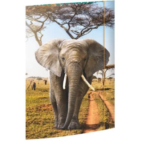 A3 Sammelmappe Elefant