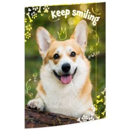 A3 Sammelmappe Corgi