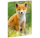 A3 Sammelmappe Fuchs