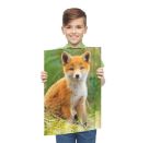 A3 Sammelmappe Fuchs