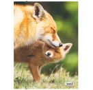 A3 Sammelmappe Fuchs