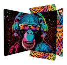 Sammelmappen DIN A4 Neon 24 x