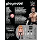 WWE® Triple H