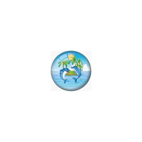 Outdoor active Buntball Delphin, 13 cm