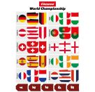 RC 2,4GHz Mini RC grey - World Championship, Carrera RC Ferngesteuertes Auto