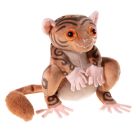 Schule der magischen Tiere Koboldmaki Fitzgeraldo GRS