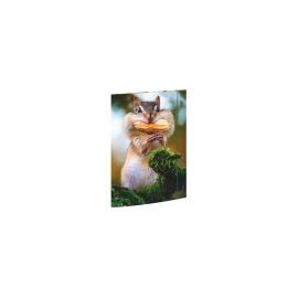 A3 Sammelmappe Chipmunk