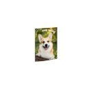 A3 Sammelmappe Corgi