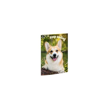 A3 Sammelmappe Corgi
