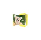 A3 Sammelmappe Corgi