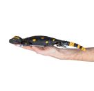 Robo Friends Salamander, Revell Control Ferngesteuerter Roboter