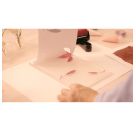 Atelier 46, Gel-Druck Zitrone