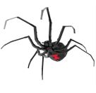 Metal Earth: Black Widow (farbiges Modell)