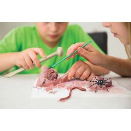 KidzLabs: Krabbeltier-Ausgrabung