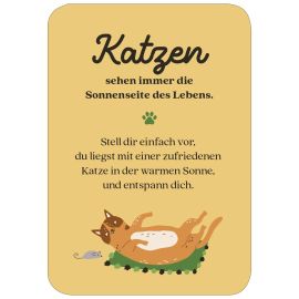 MIEZNachrichten für jede Lebenslage