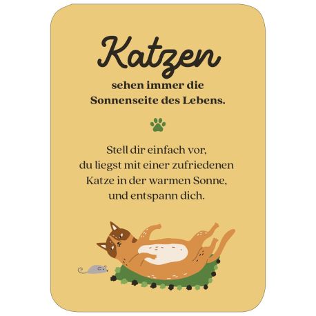 MIEZNachrichten für jede Lebenslage