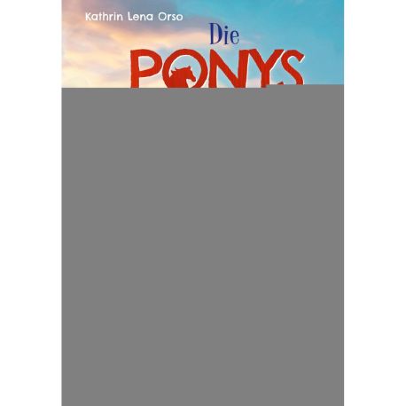 Die Ponys von Lillasund 4. Das Mittsommer-Turnier