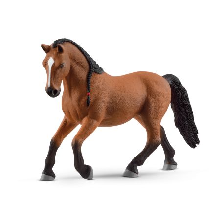 Lipizzaner Stute SP (nicht ei