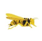 fridolin - 3D Papiermodell - Hornisse, Spezialkarton, gelasert