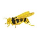 fridolin - 3D Papiermodell - Hornisse, Spezialkarton, gelasert