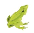 fridolin - 3D Papiermodell - Frosch, Spezialkarton, gelasert