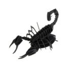 fridolin - 3D Papiermodell - Skorpion, Spezialkarton, gelasert