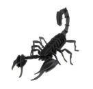 fridolin - 3D Papiermodell - Skorpion, Spezialkarton, gelasert