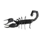 fridolin - 3D Papiermodell - Skorpion, Spezialkarton, gelasert