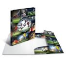 Sammelmappe Fußball A3 PP