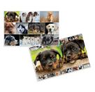 Schreibunterlage  Hunde