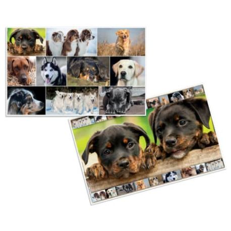 Schreibunterlage  Hunde