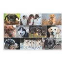 Schreibunterlage  Hunde
