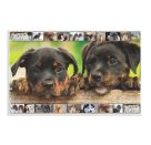 Schreibunterlage  Hunde