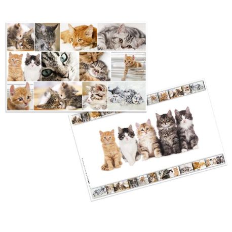 Schreibunterlage  Katzen