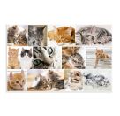 Schreibunterlage  Katzen