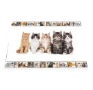 Schreibunterlage  Katzen