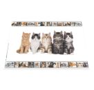 Schreibunterlage  Katzen