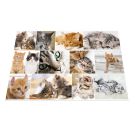 Schreibunterlage  Katzen