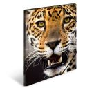 Sammelmappe A3 Leopard