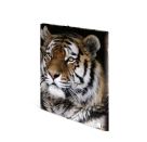 Sammelmappe A3 Leopard