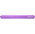 Lineal 30 cm Sparkle bruchsic