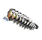 3D Bastelset Papageientaucher(MQ6)