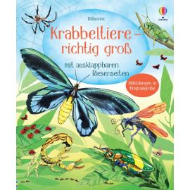 Krabbeltiere - richtig groß
