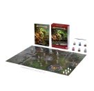AGE OF SIGMAR: EINSTEIGERSET