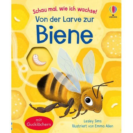 Von der Larve zur Biene