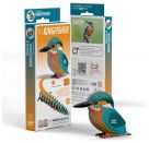 3D Bastelset Eisvogel