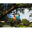 3D Bastelset Eisvogel