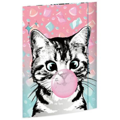 A§ Zeichenmappe Sweet Cat